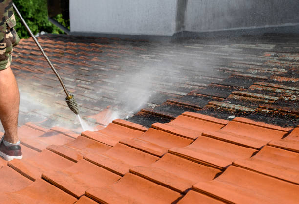 Professional Pressure Washing in Princeton, IL