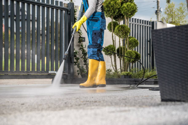 Best Roof Power Washing Services  in Princeton, IL