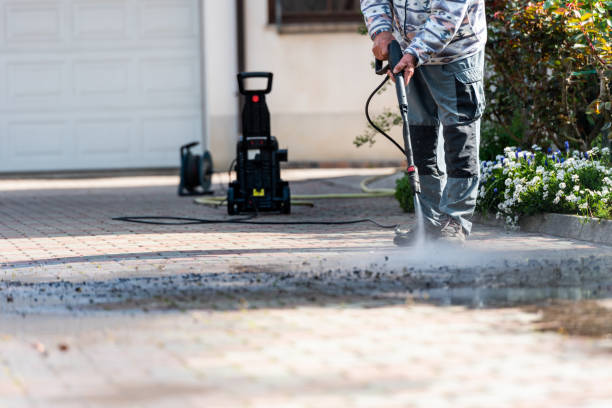 Best House Pressure Washing  in Princeton, IL