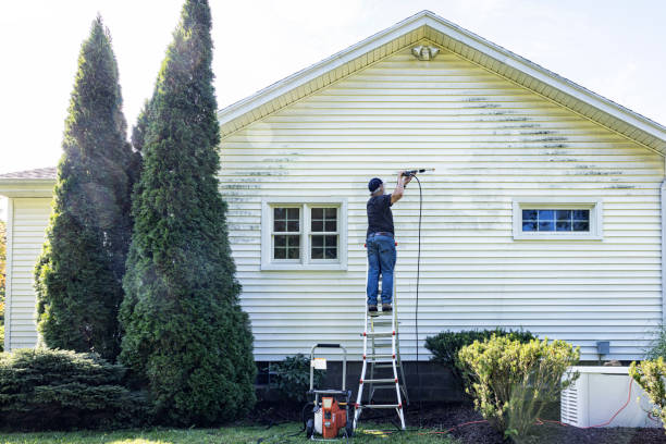 Best Commercial Building Pressure Washing  in Princeton, IL