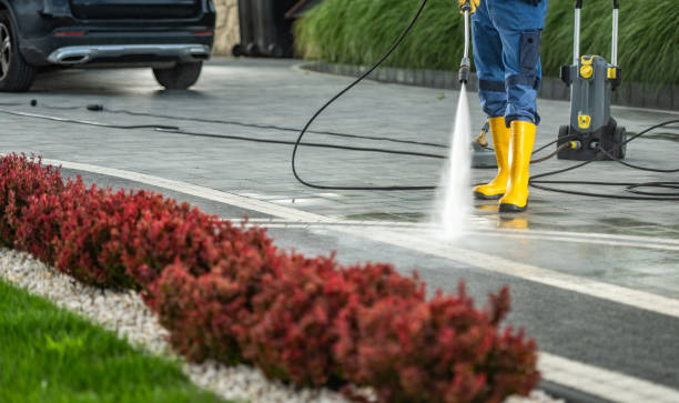 Best Roof Pressure Washing  in Princeton, IL