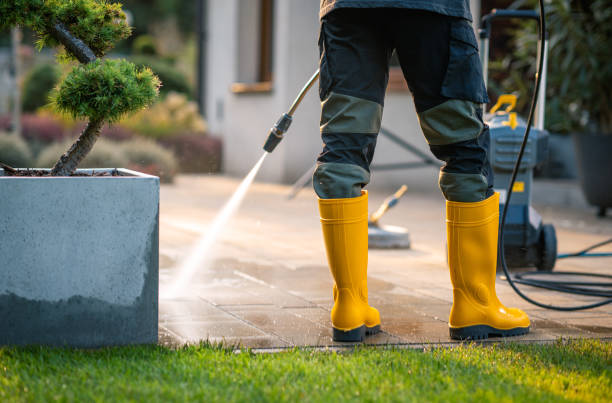 Best Deck Cleaning Services  in Princeton, IL